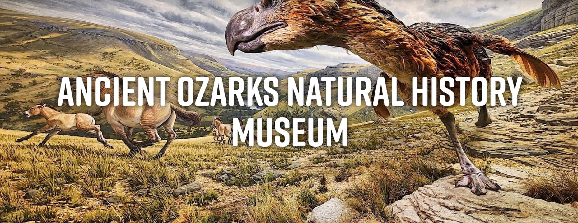 Ancient Ozarks Natural History Museum Ancient Ozarks Natural History Museum